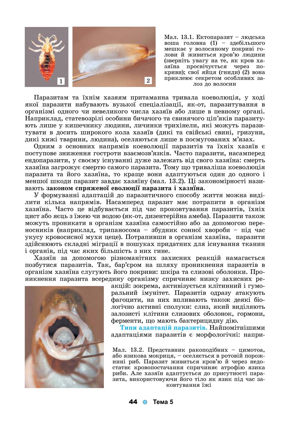 Мініатюра 44