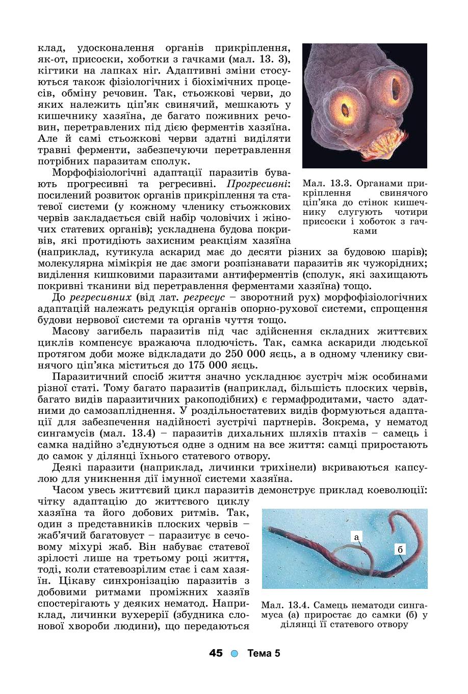 Мініатюра 45