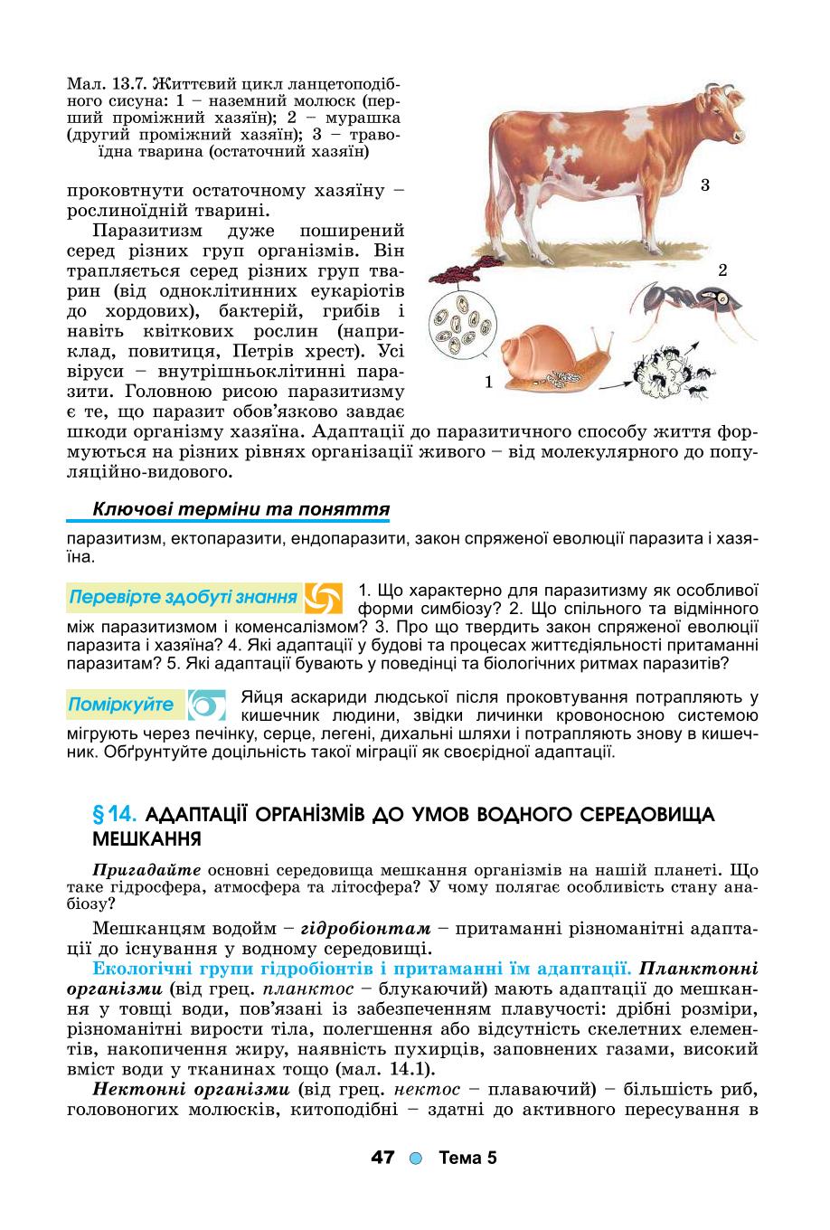 Мініатюра 47