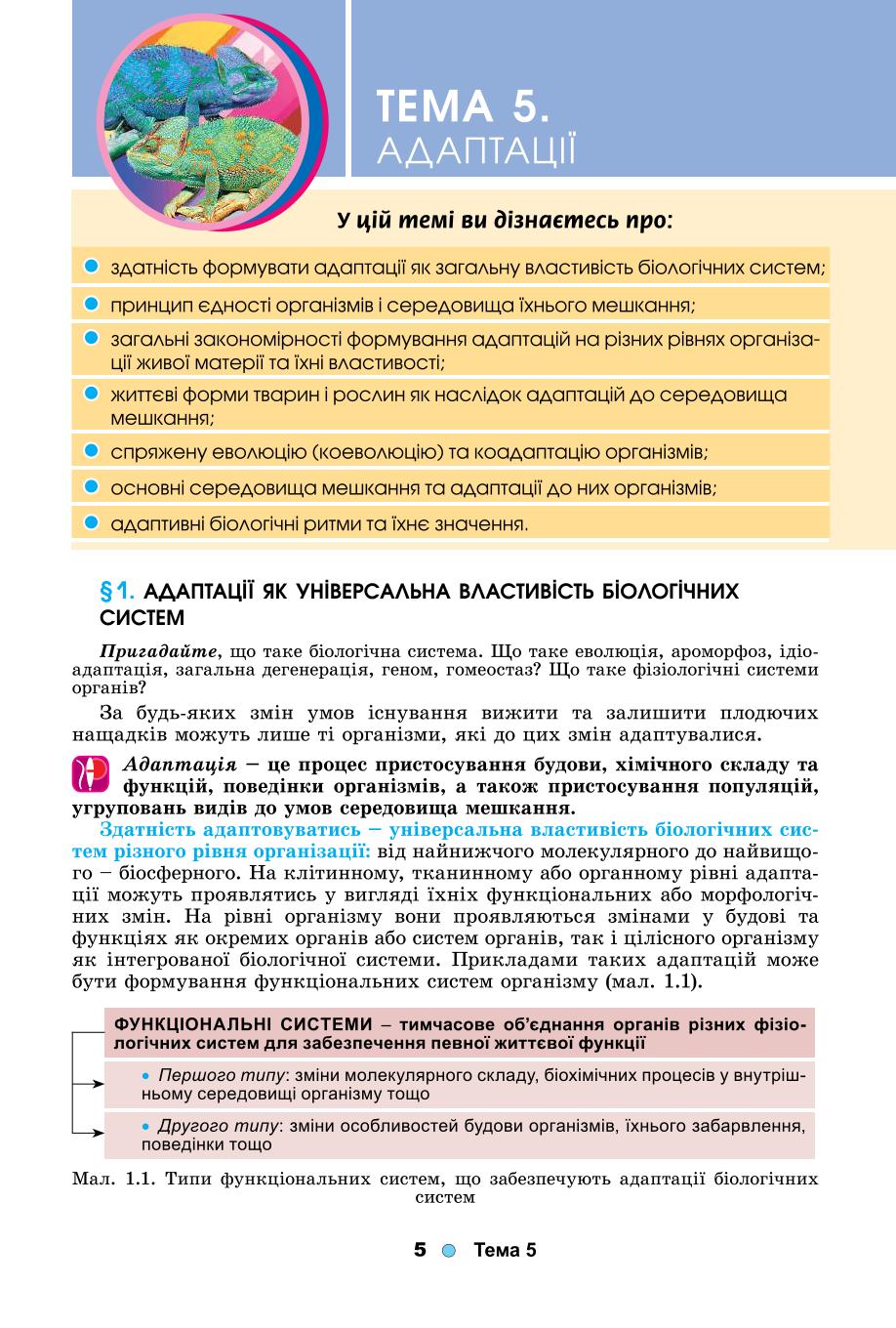 Мініатюра 5