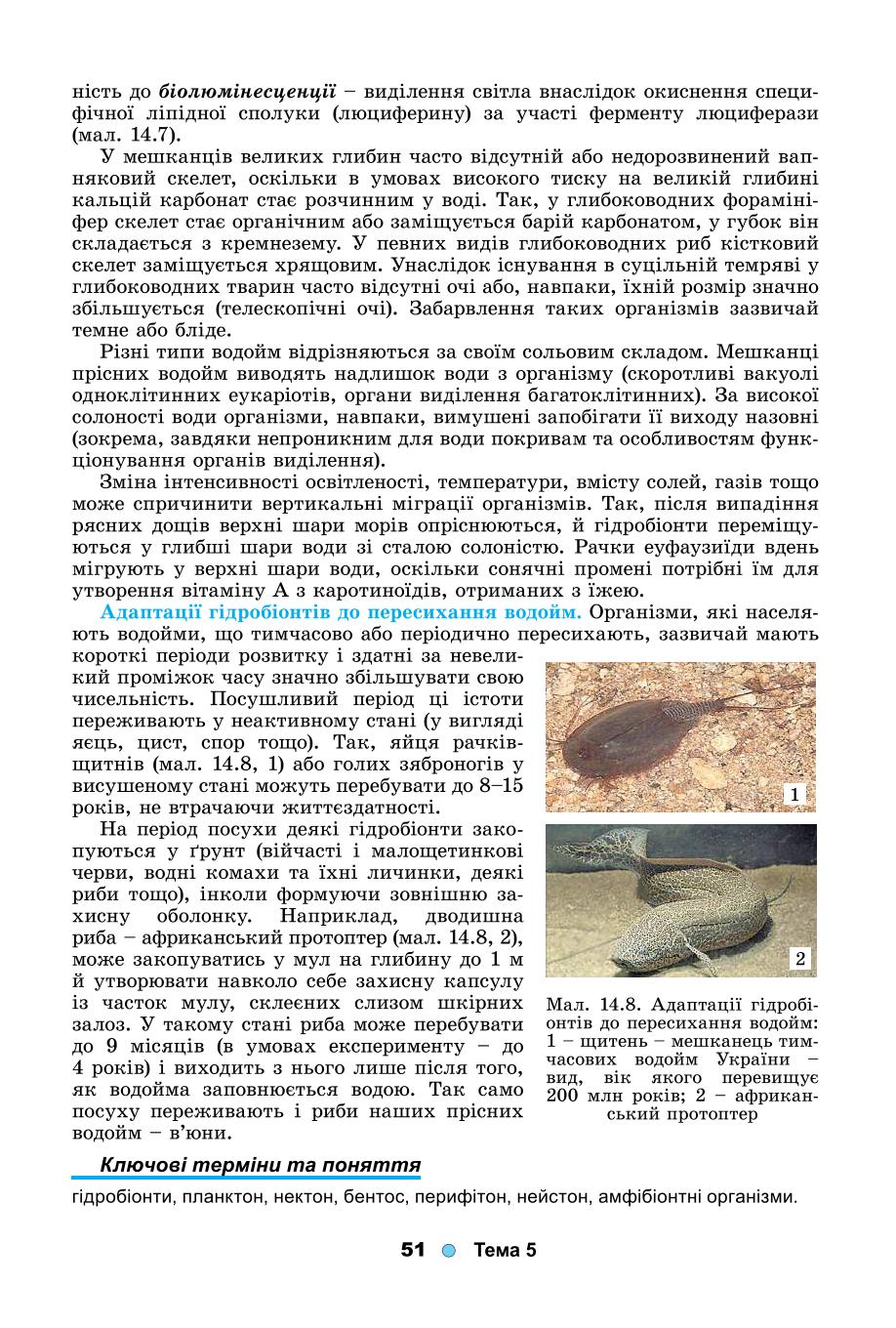 Мініатюра 51
