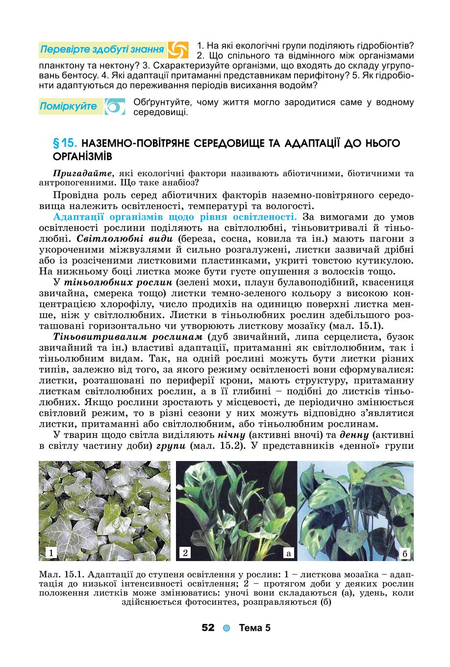 Мініатюра 52