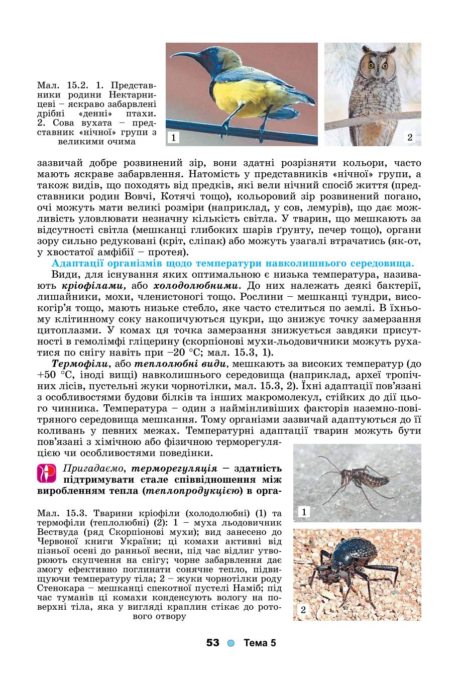 Мініатюра 53