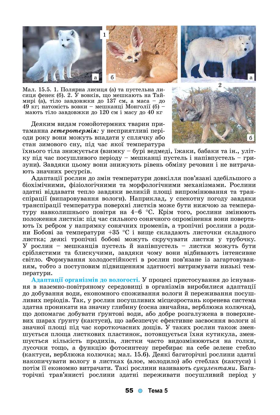 Мініатюра 55