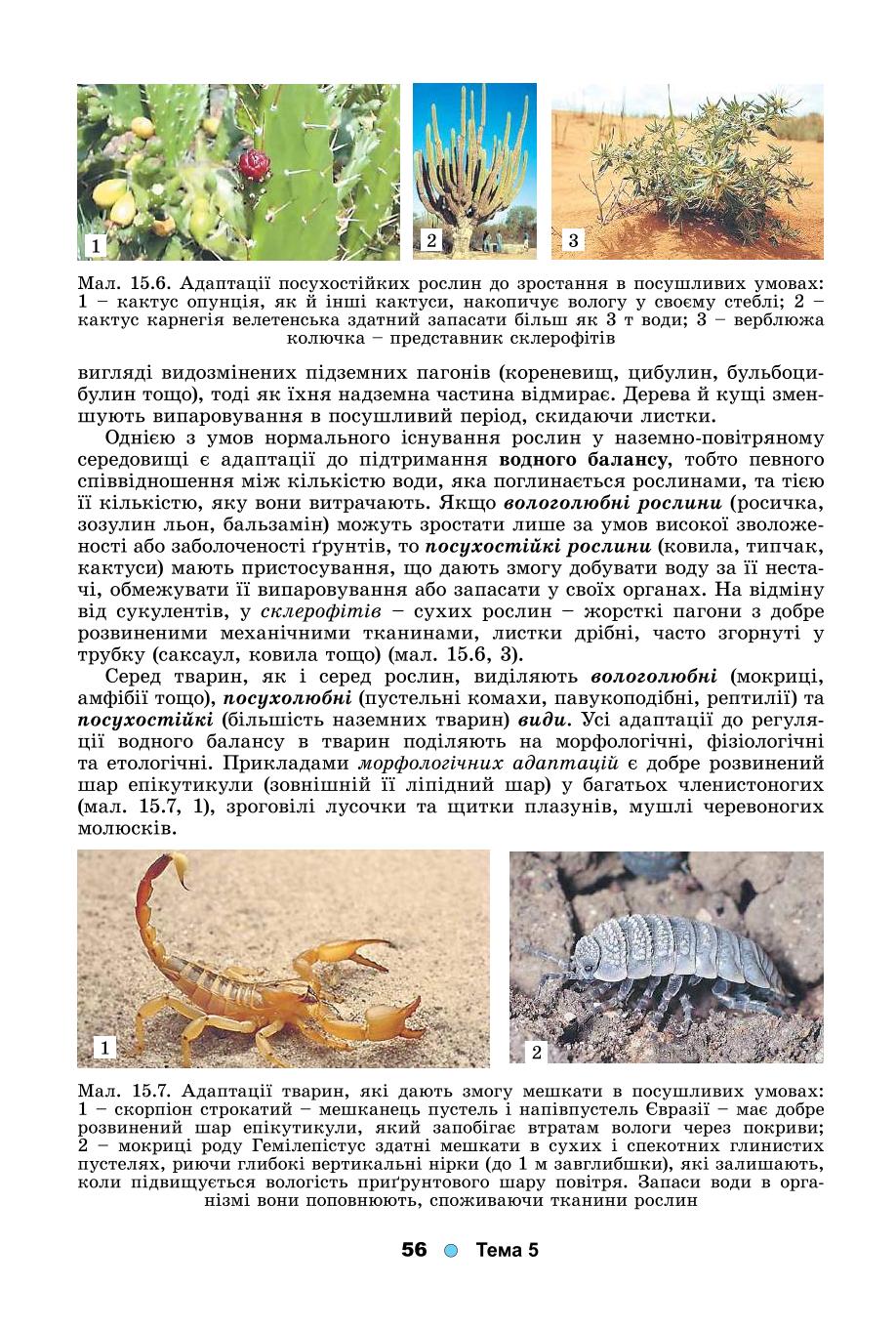 Мініатюра 56