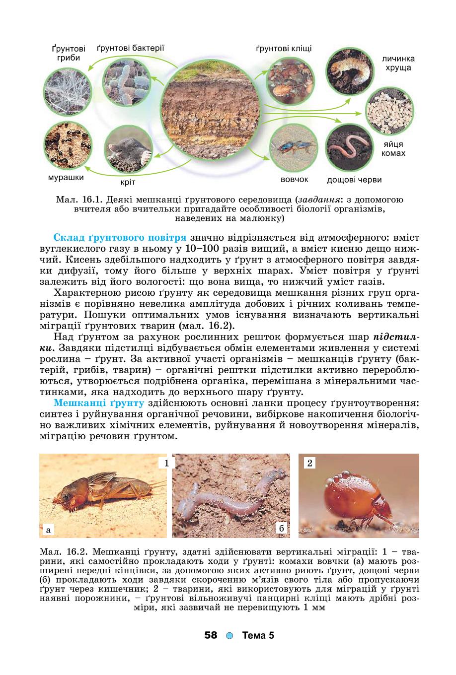 Мініатюра 58