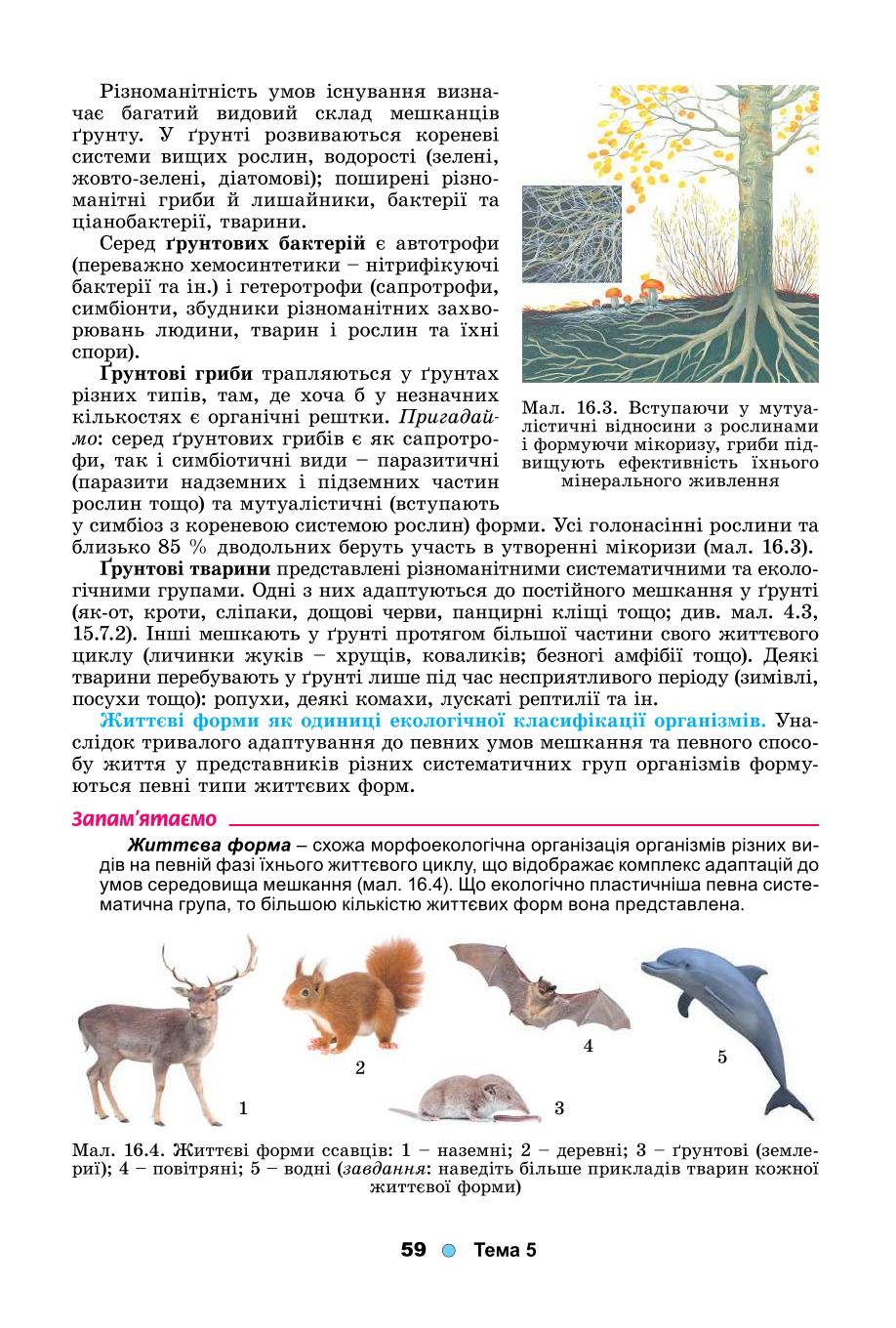 Мініатюра 59