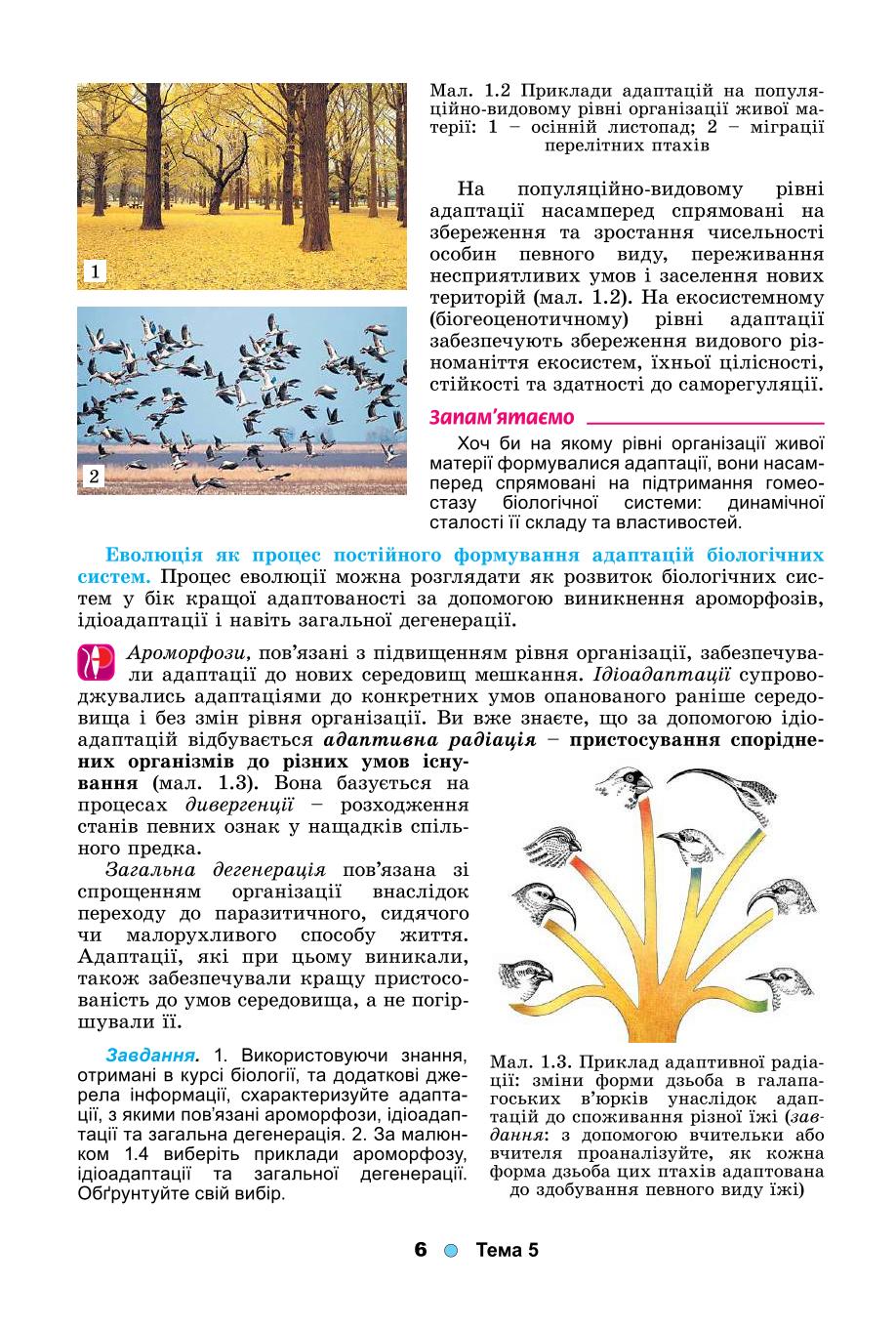 Мініатюра 6