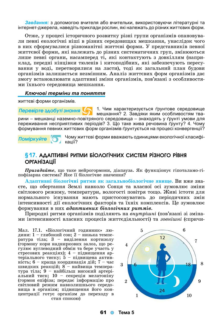 Мініатюра 61