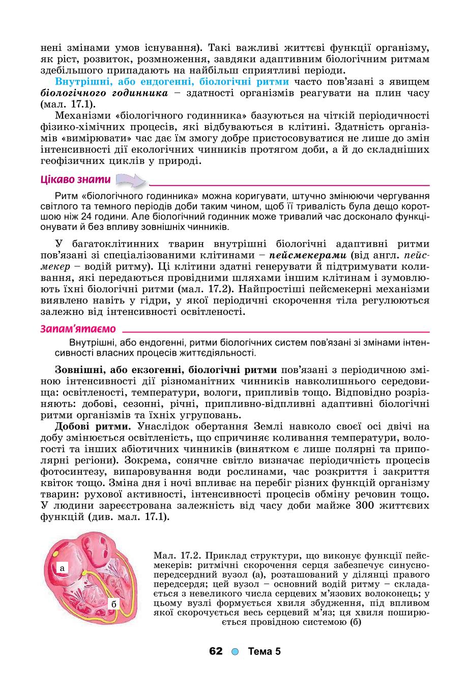 Мініатюра 62