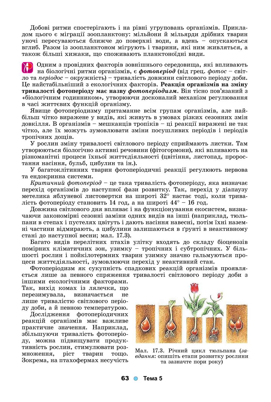 Мініатюра 63