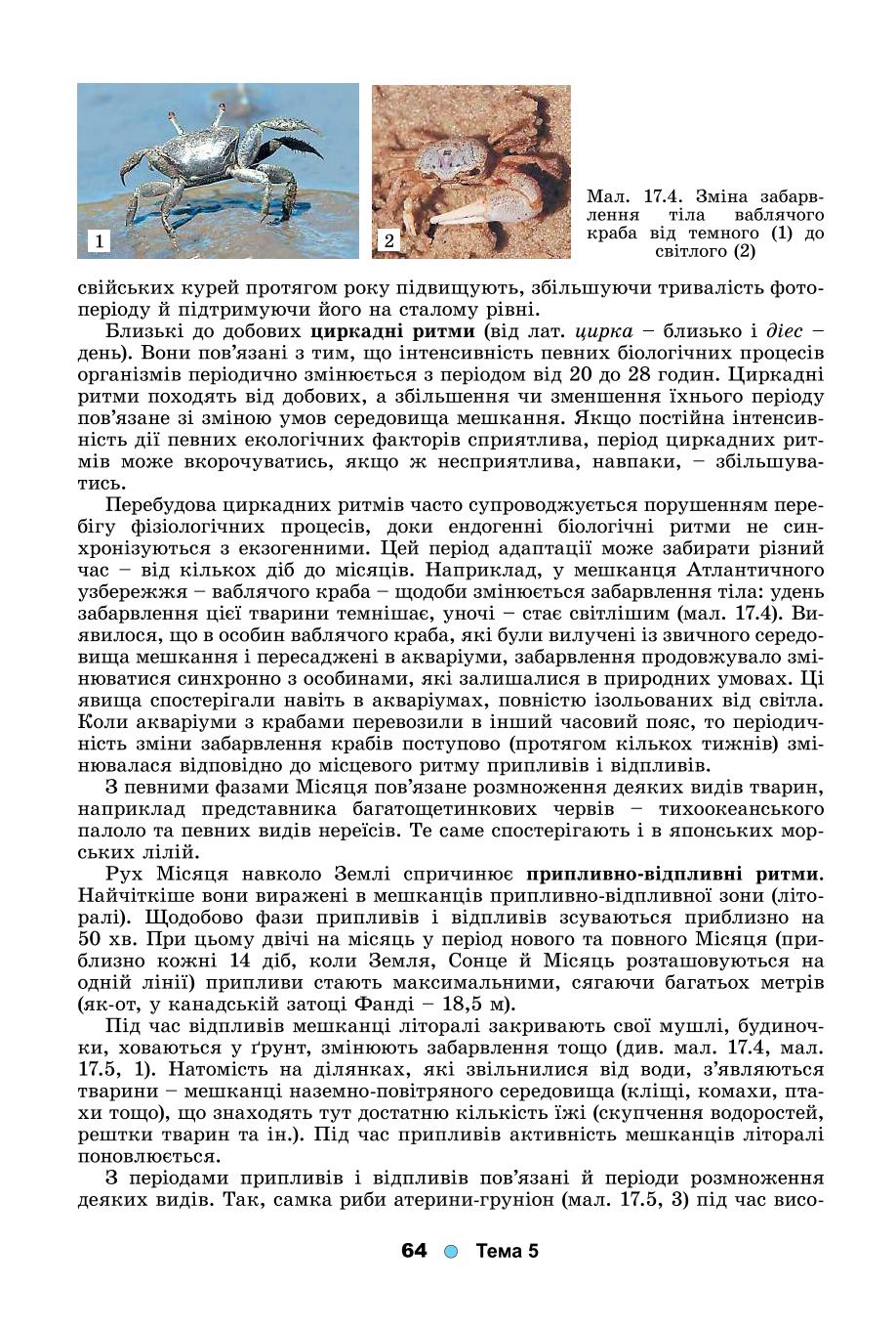 Мініатюра 64