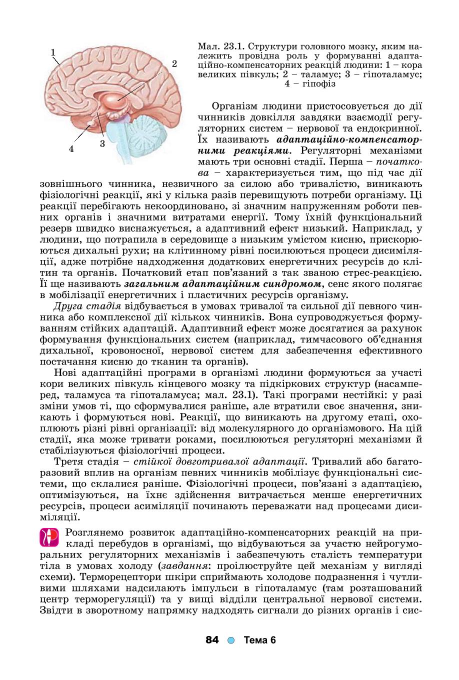 Мініатюра 84
