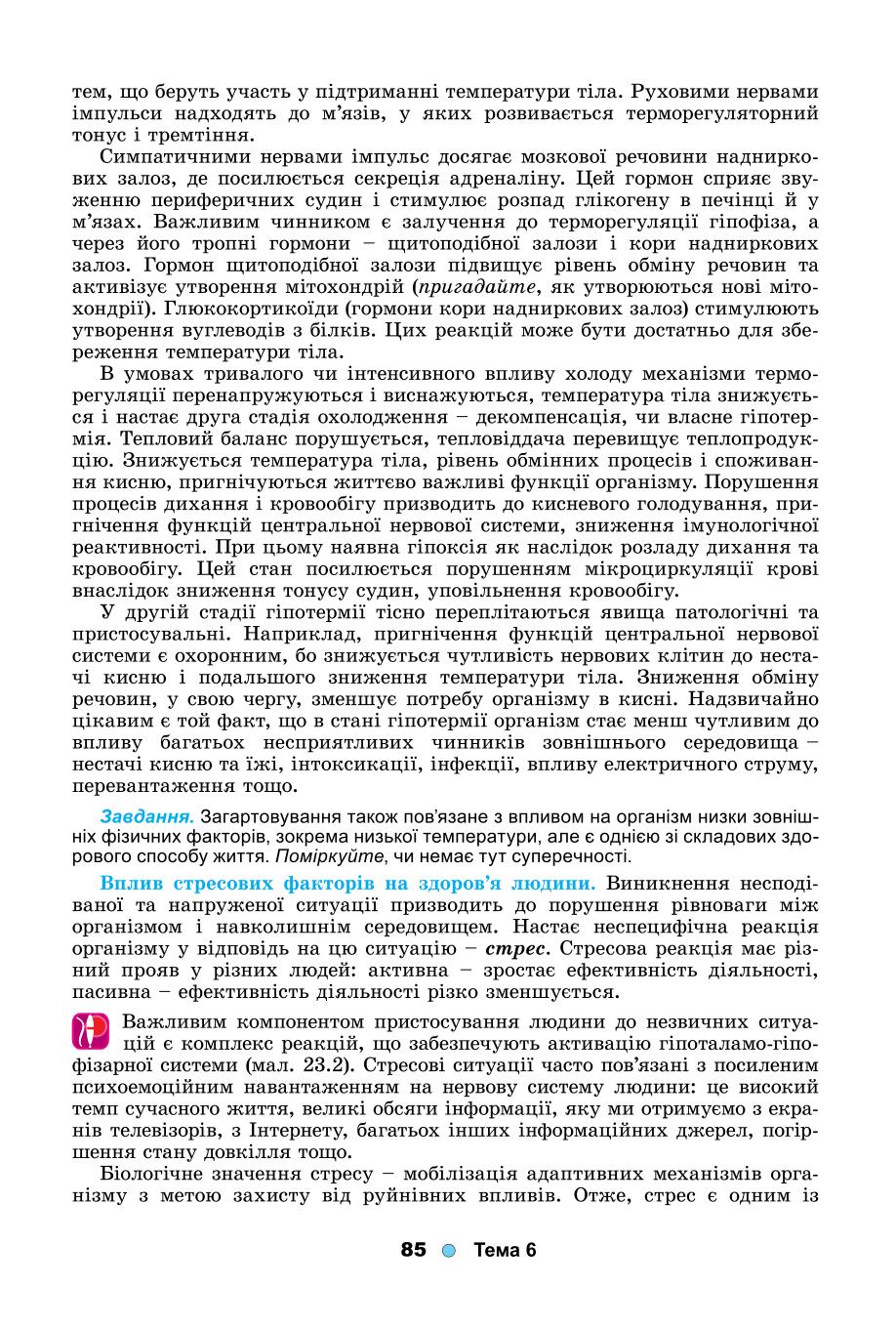 Мініатюра 85