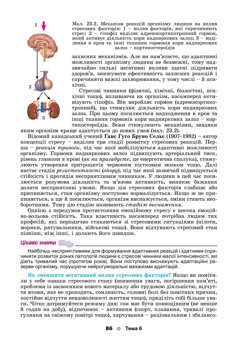 Мініатюра 86