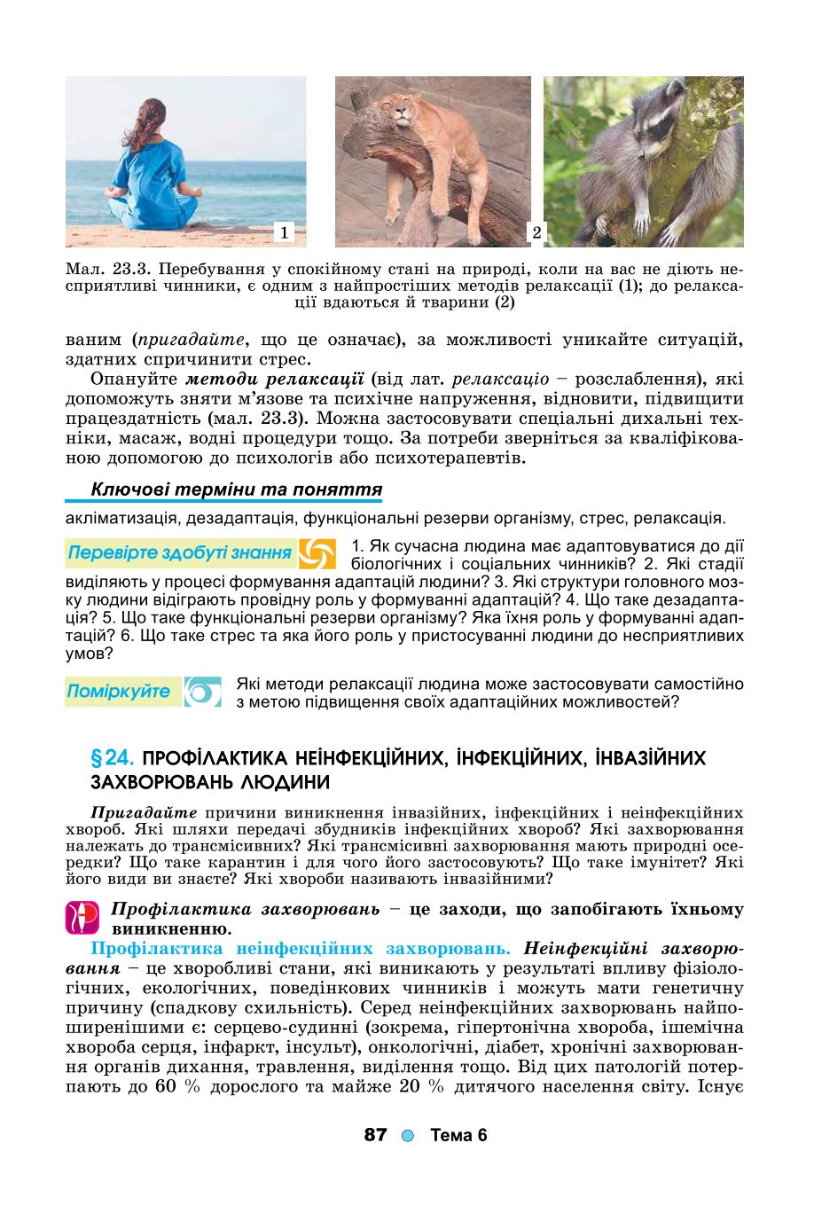 Мініатюра 87
