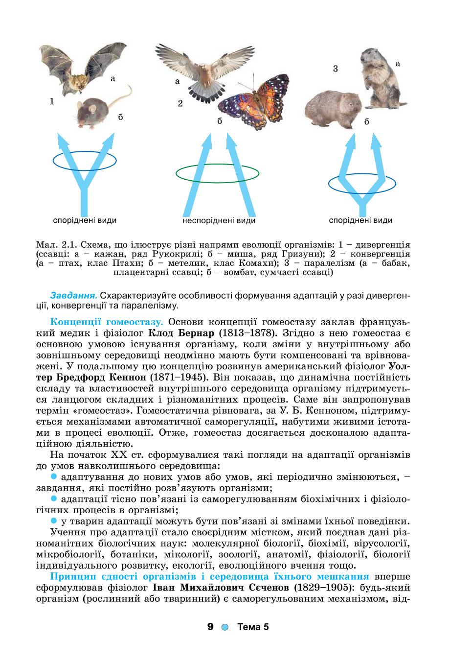 Мініатюра 9