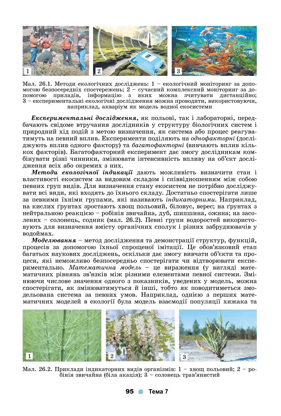 Мініатюра 95