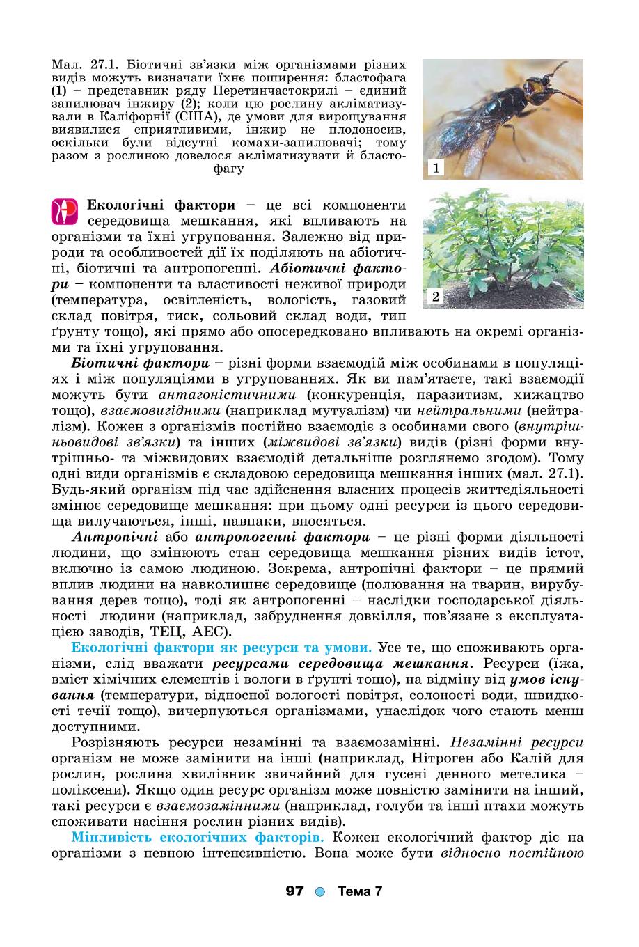 Мініатюра 97