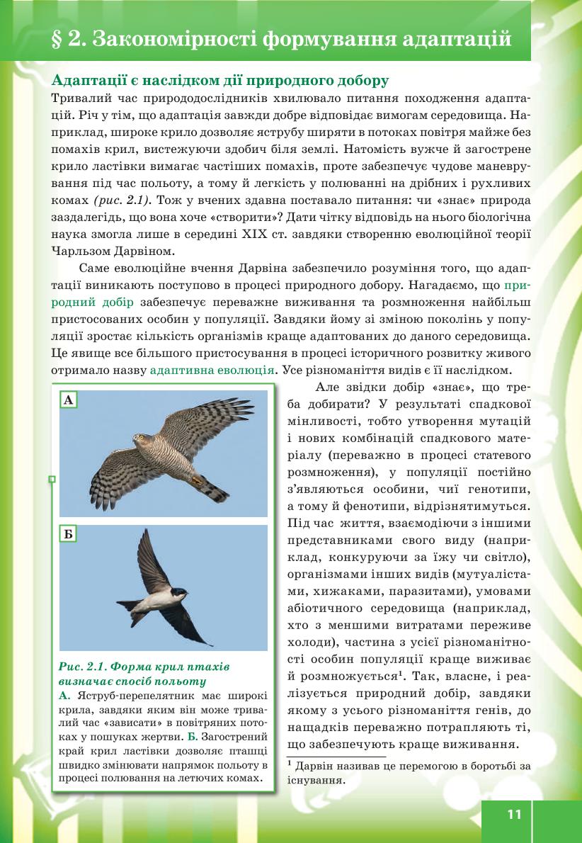 Мініатюра 11
