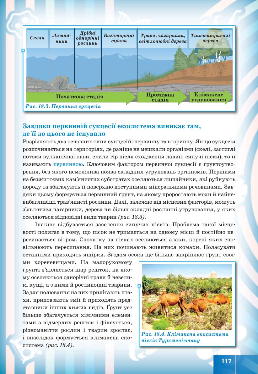 Мініатюра 117