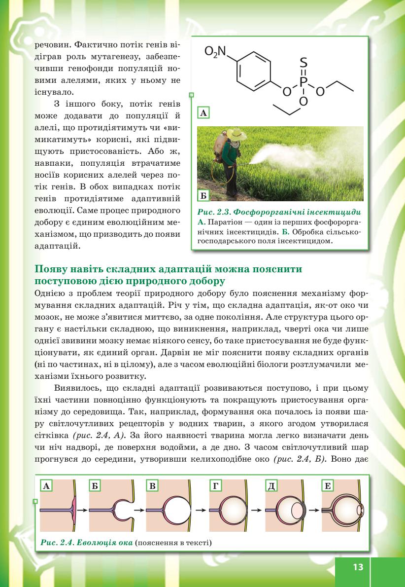 Мініатюра 13