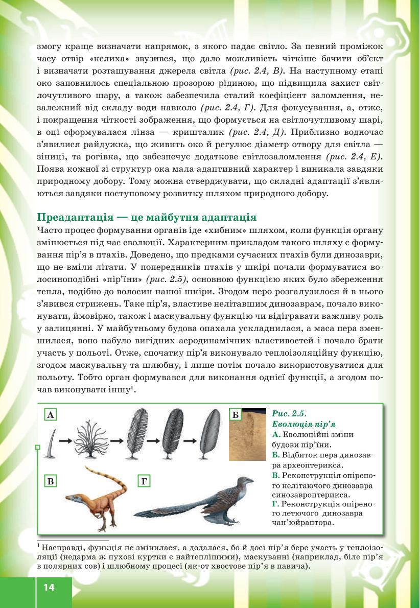 Мініатюра 14