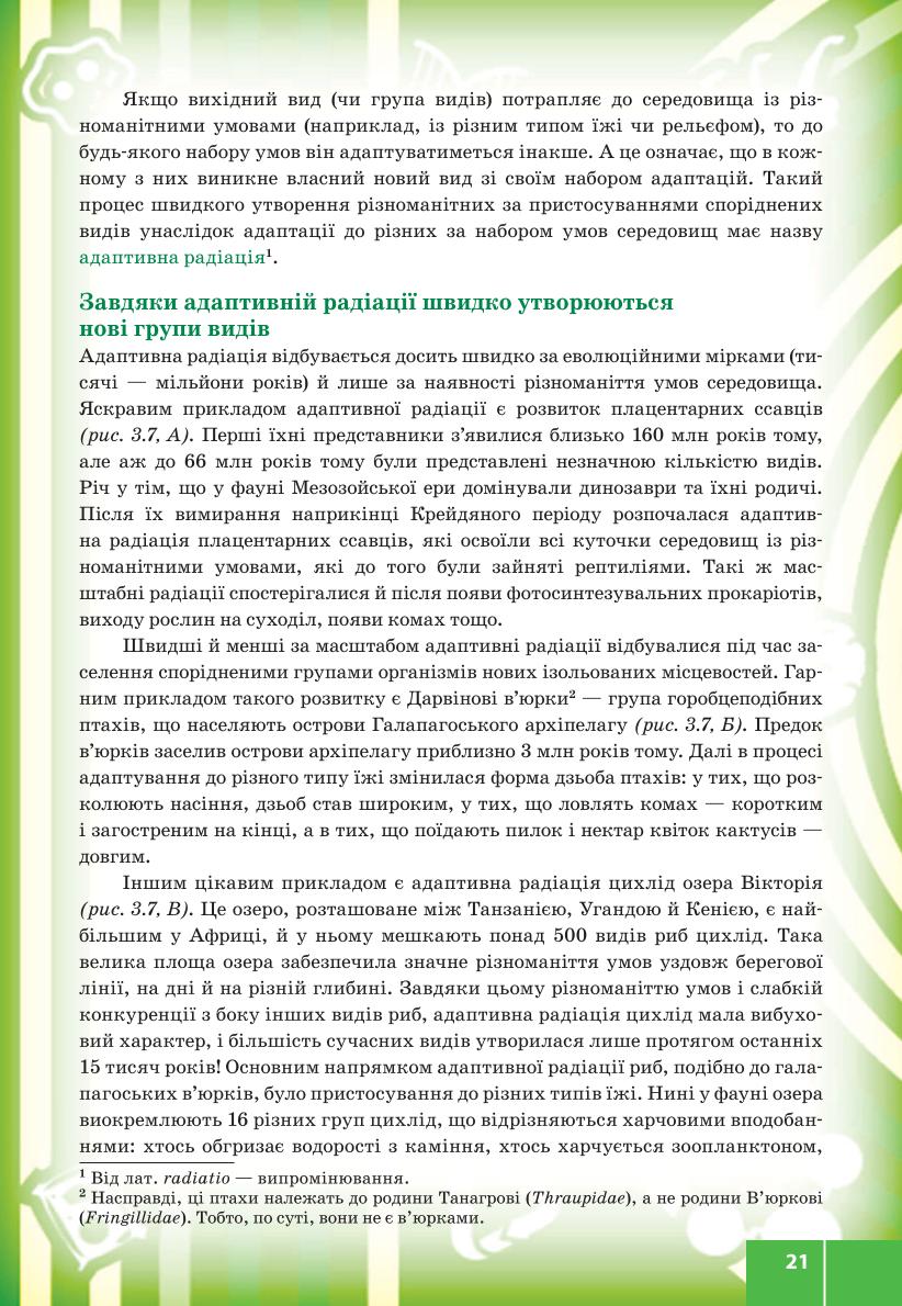 Мініатюра 21