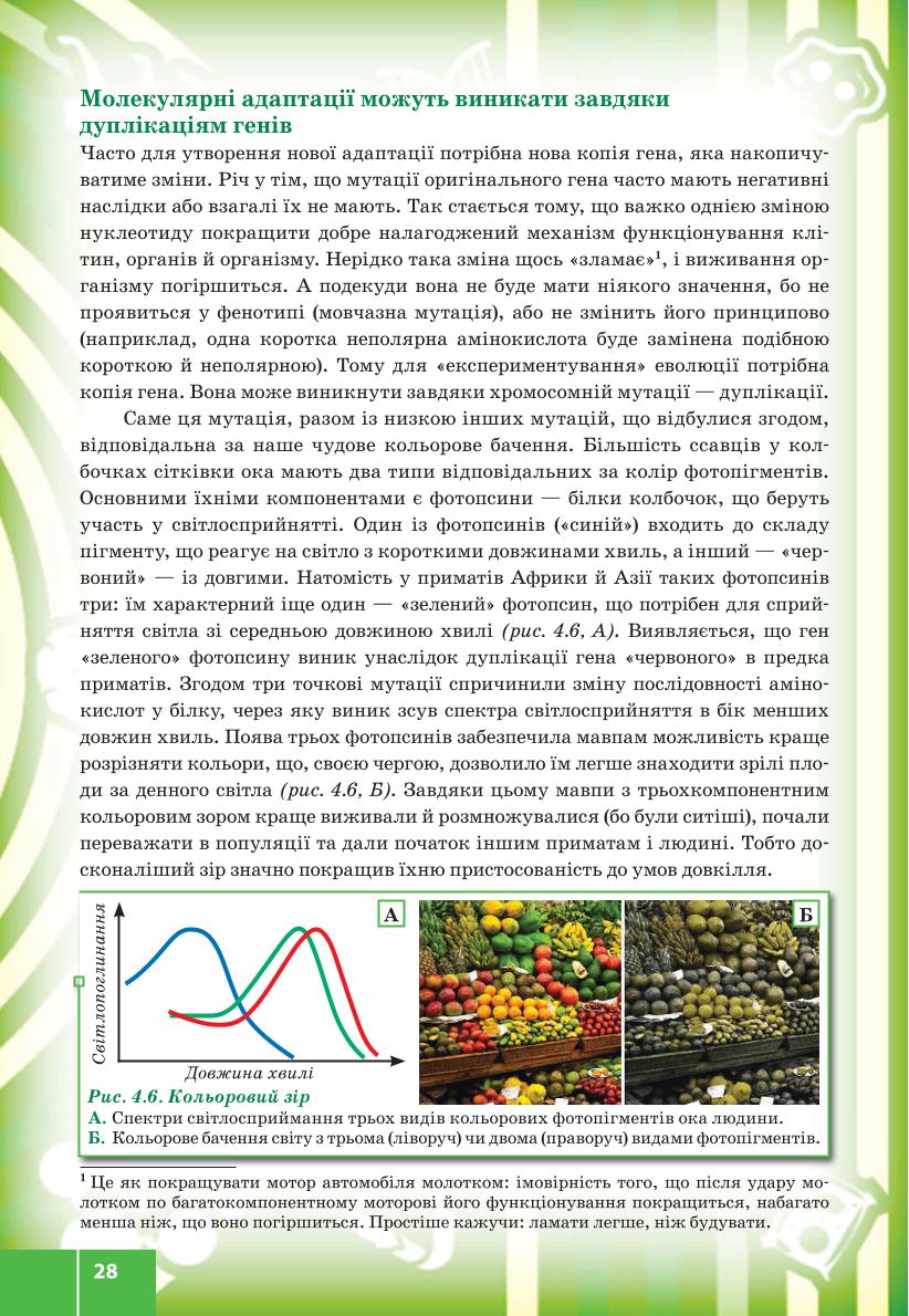 Мініатюра 28