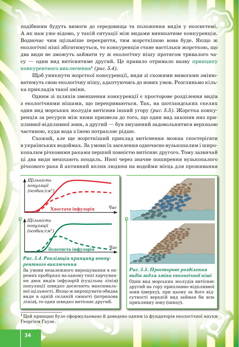 Мініатюра 34