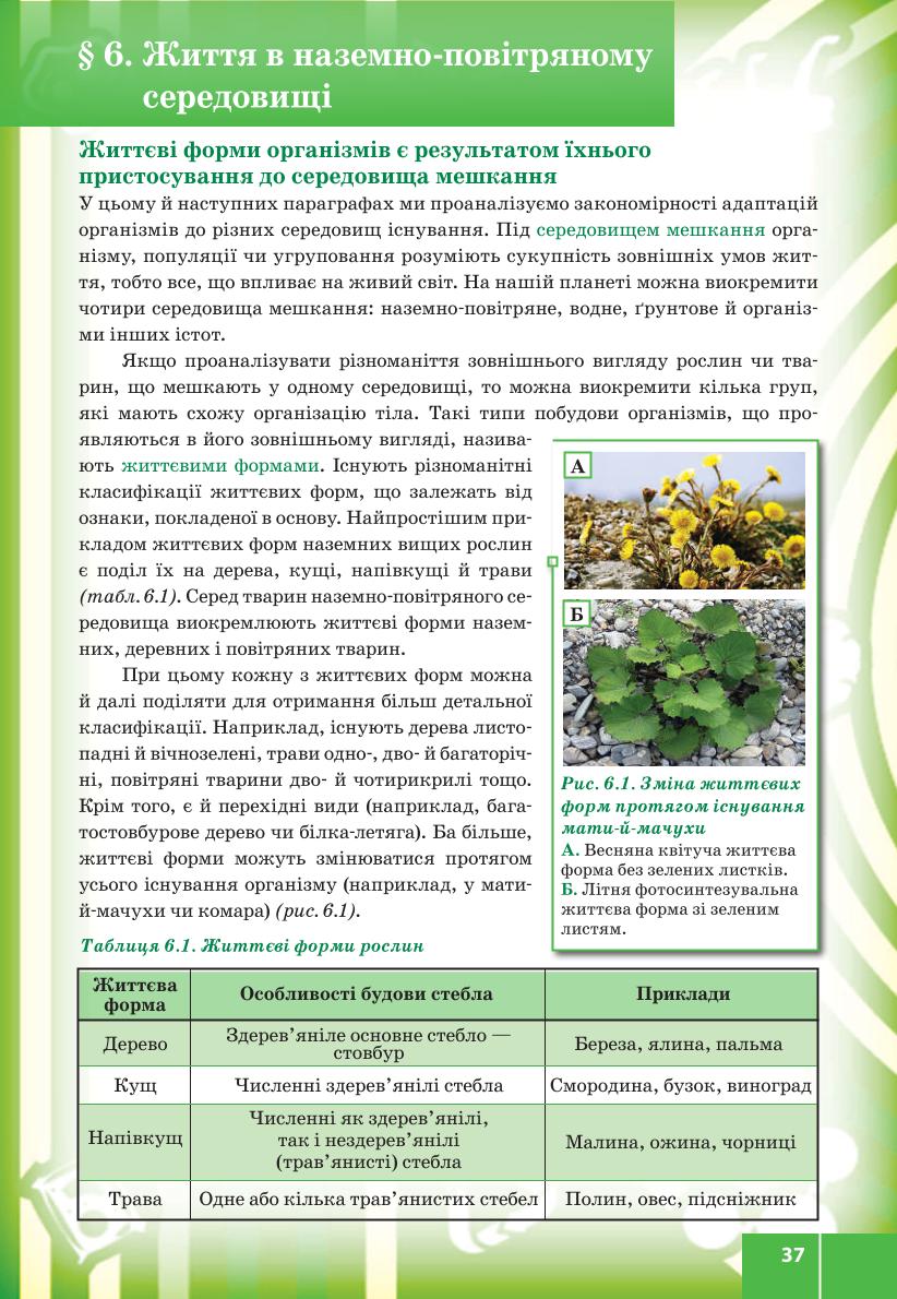 Мініатюра 37