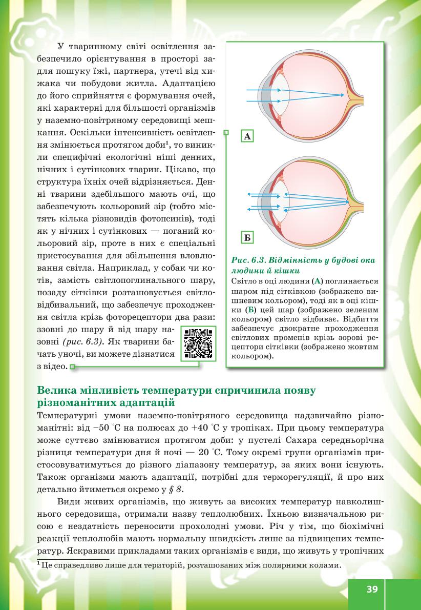 Мініатюра 39