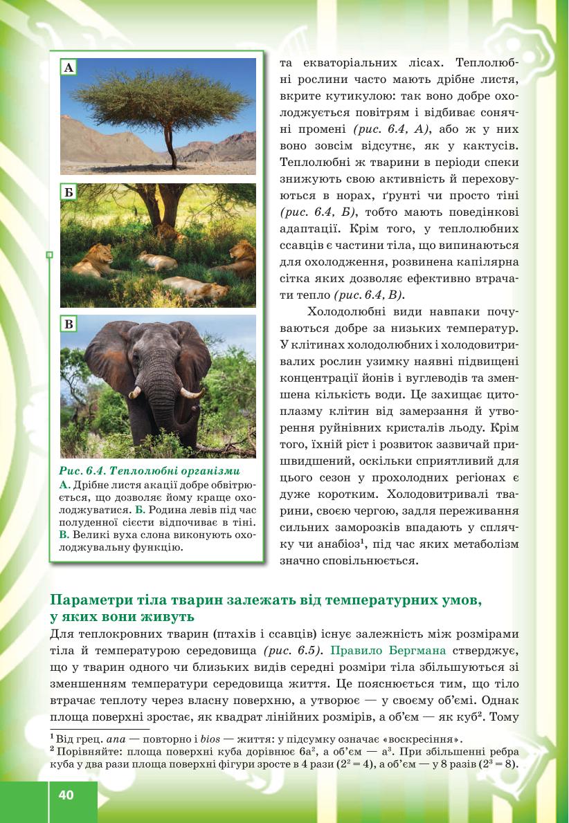 Мініатюра 40