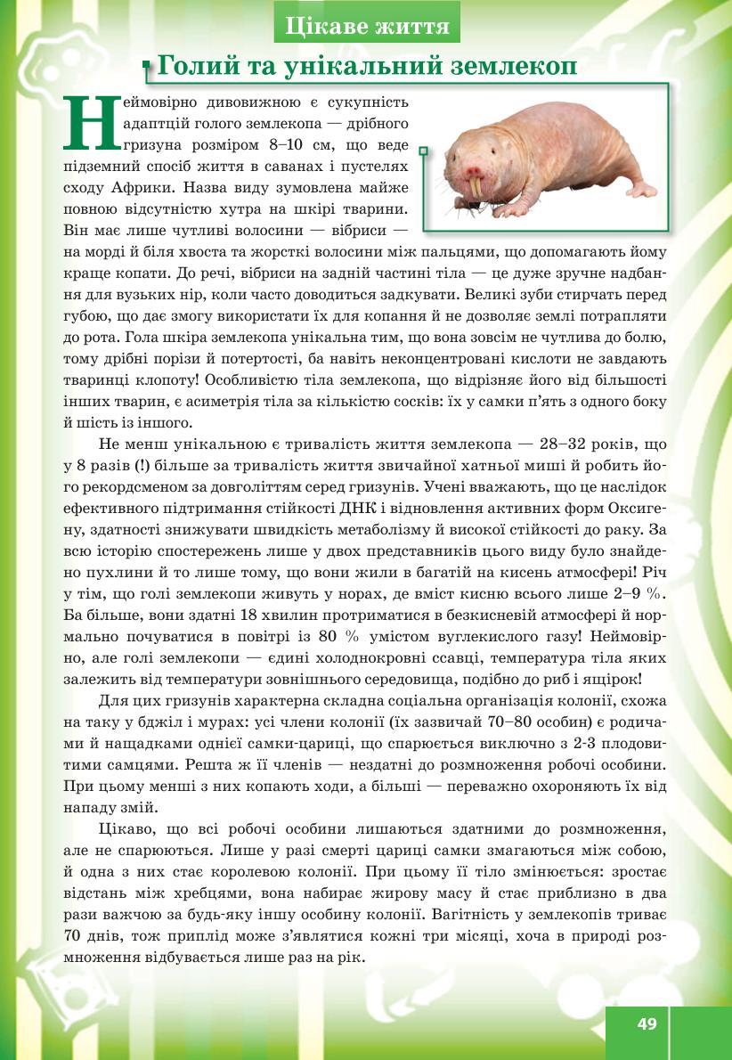Мініатюра 49