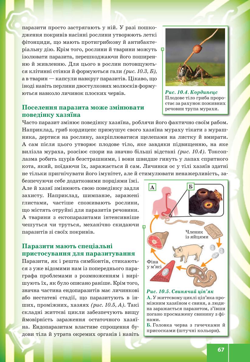 Мініатюра 67