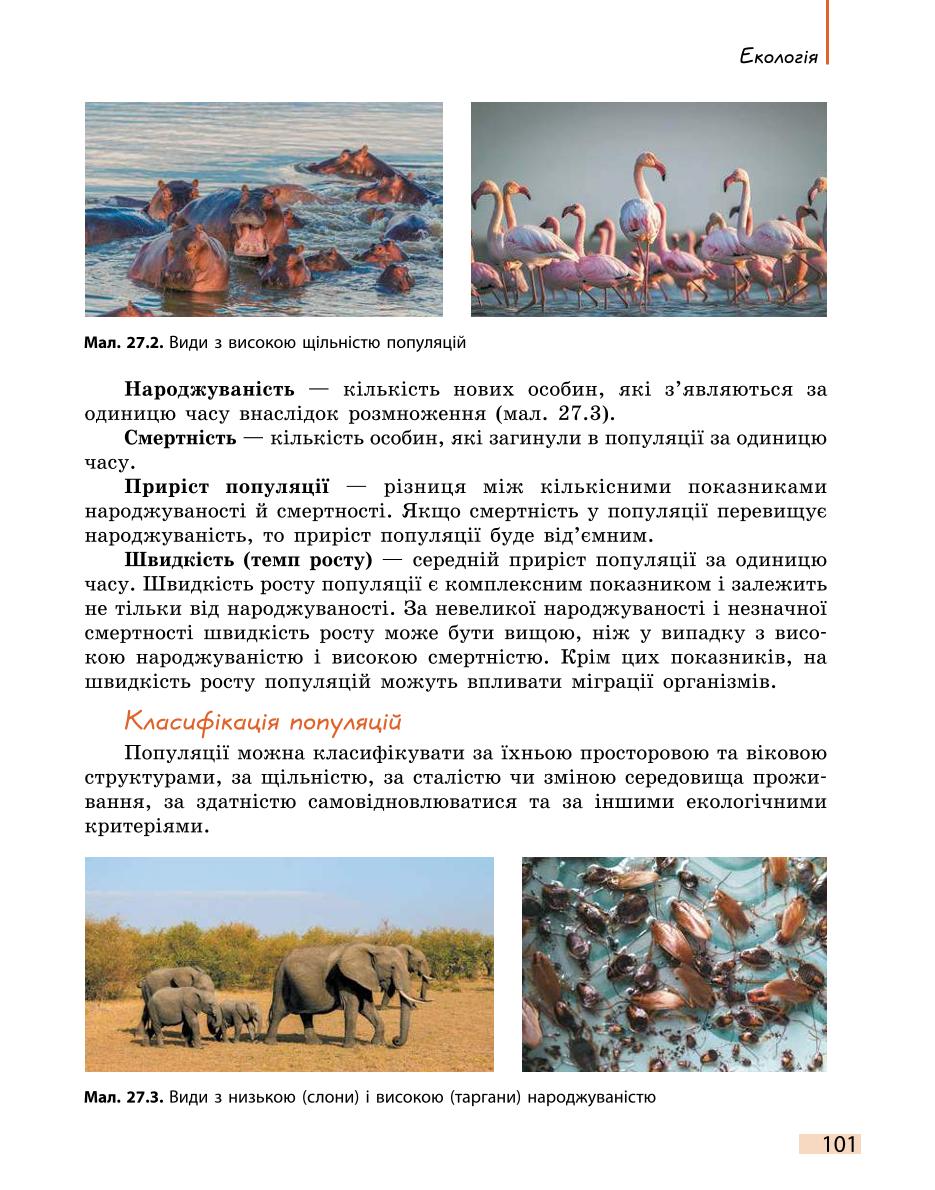 Мініатюра 101