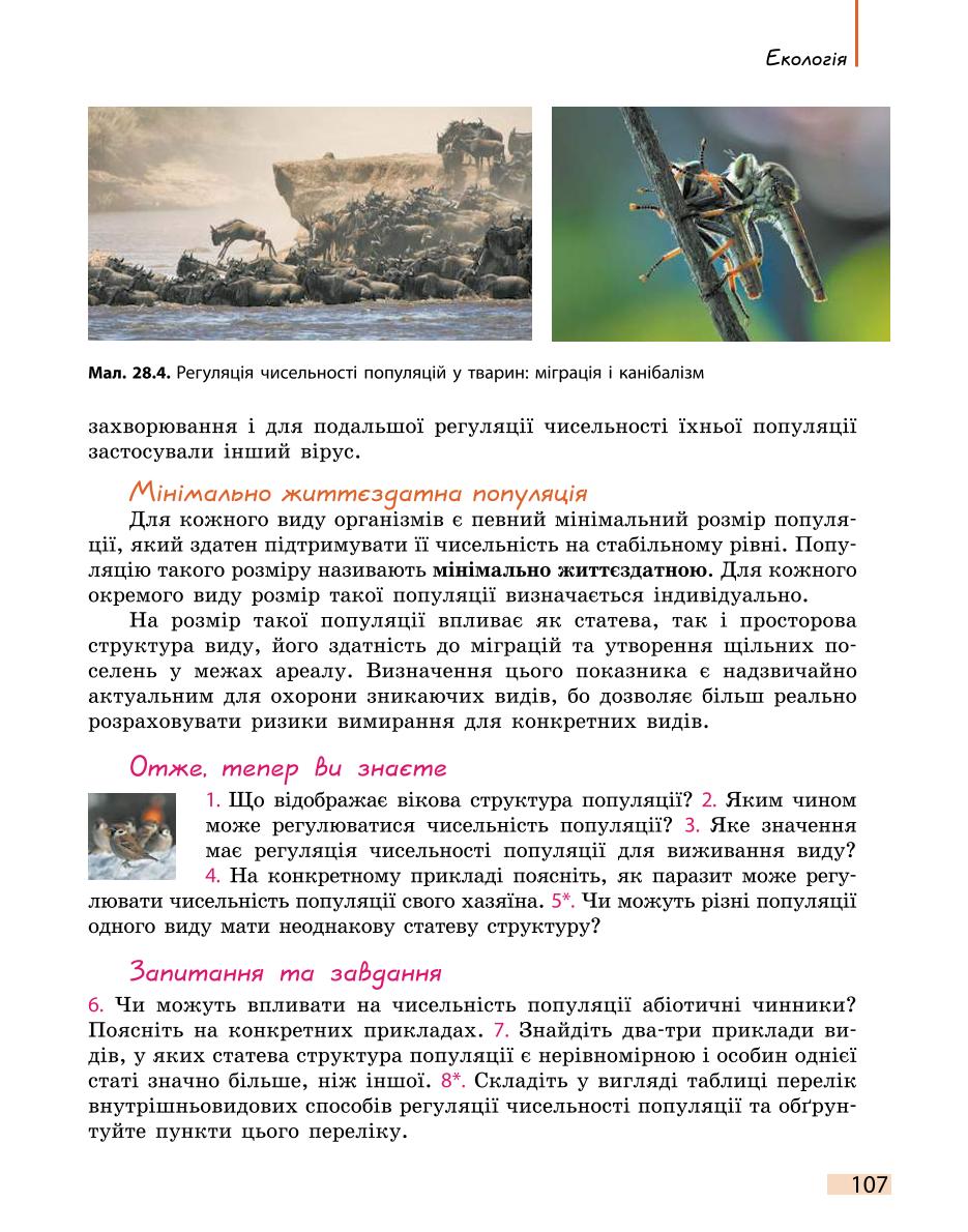Мініатюра 107