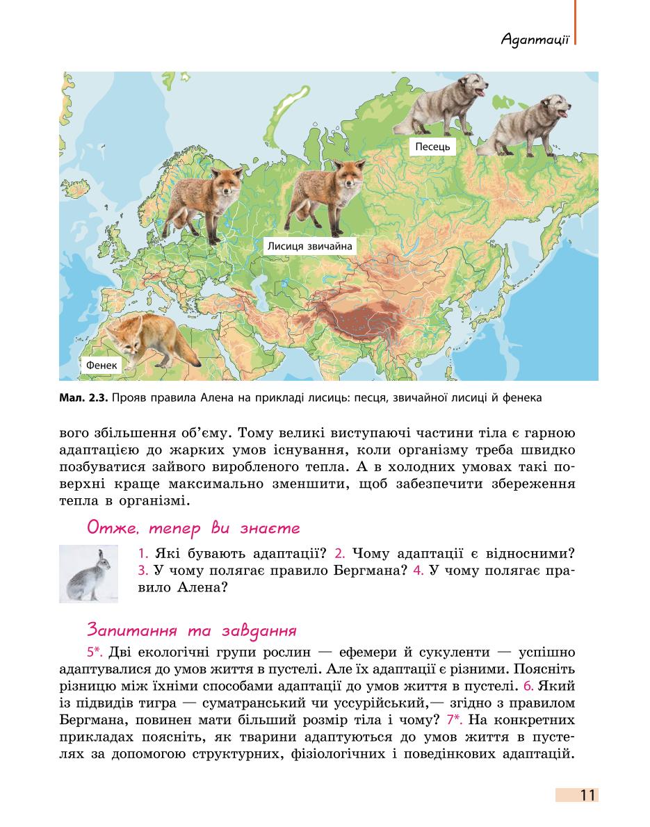 Мініатюра 11