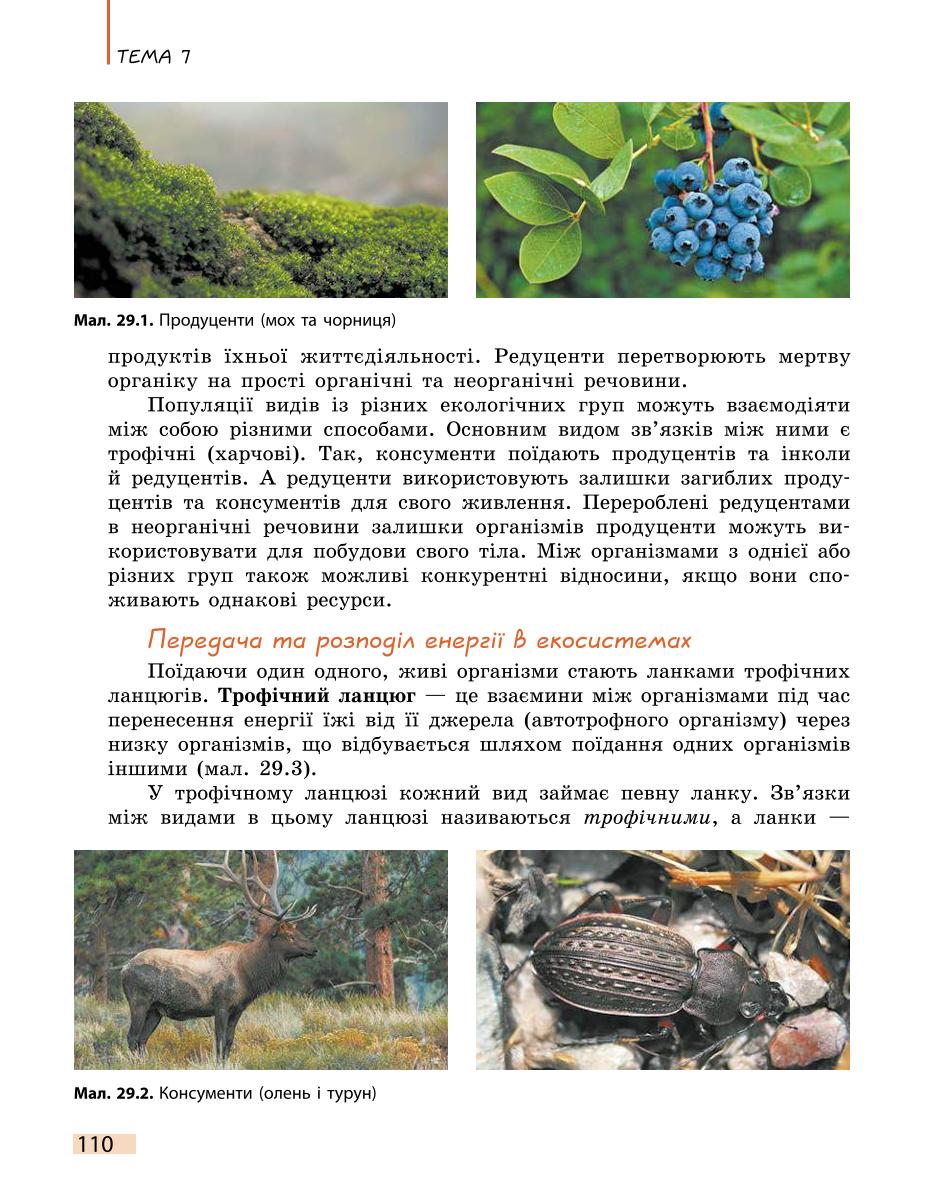 Мініатюра 110