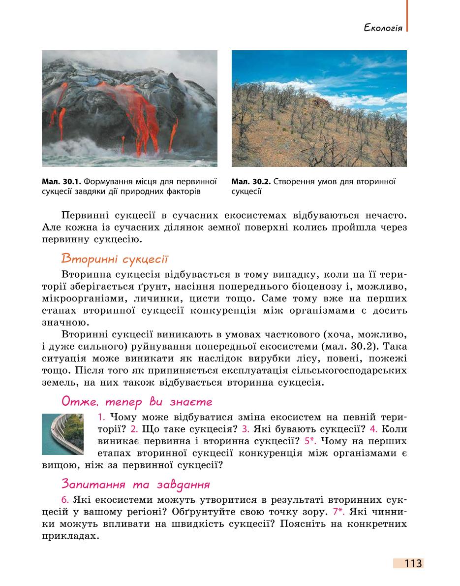Мініатюра 113
