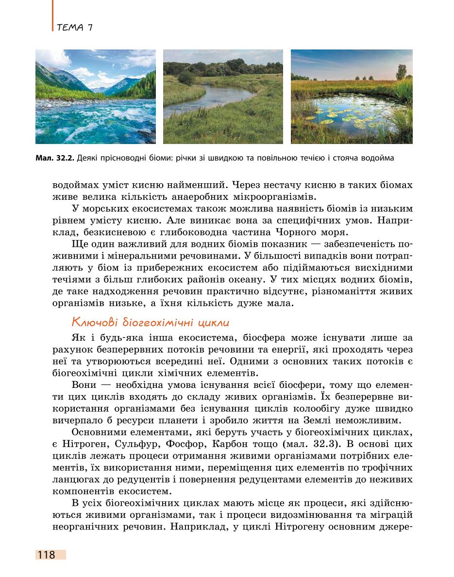 Мініатюра 118
