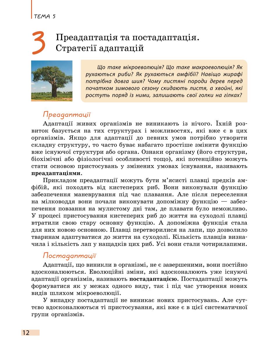 Мініатюра 12