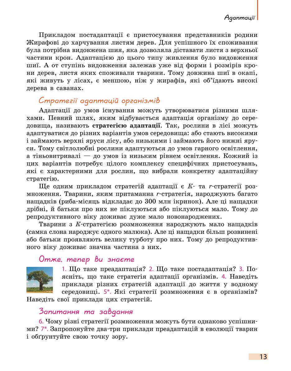 Мініатюра 13