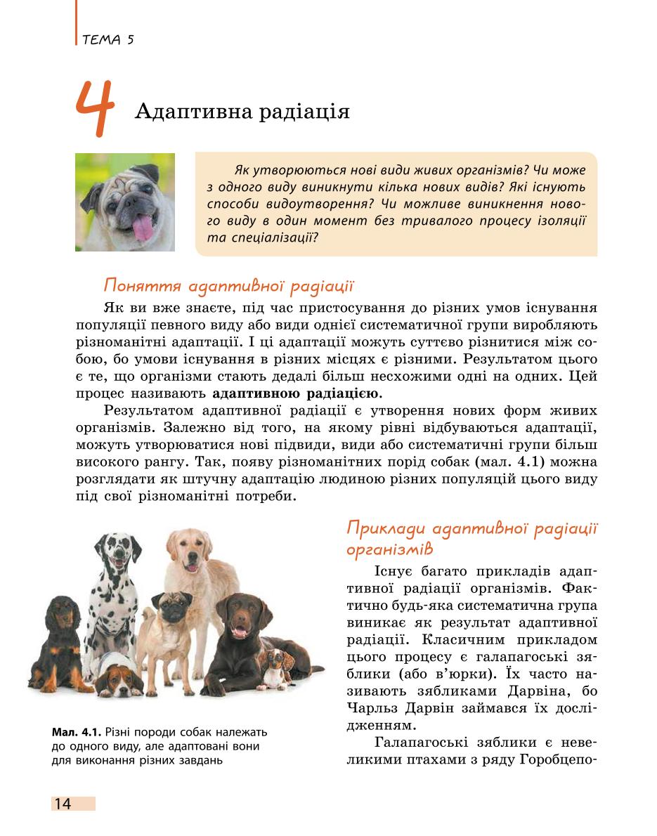 Мініатюра 14