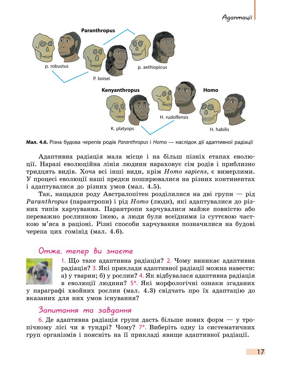Мініатюра 17