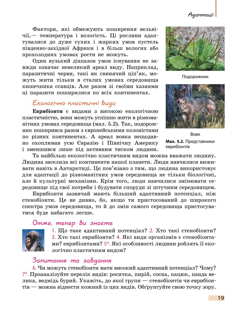 Мініатюра 19