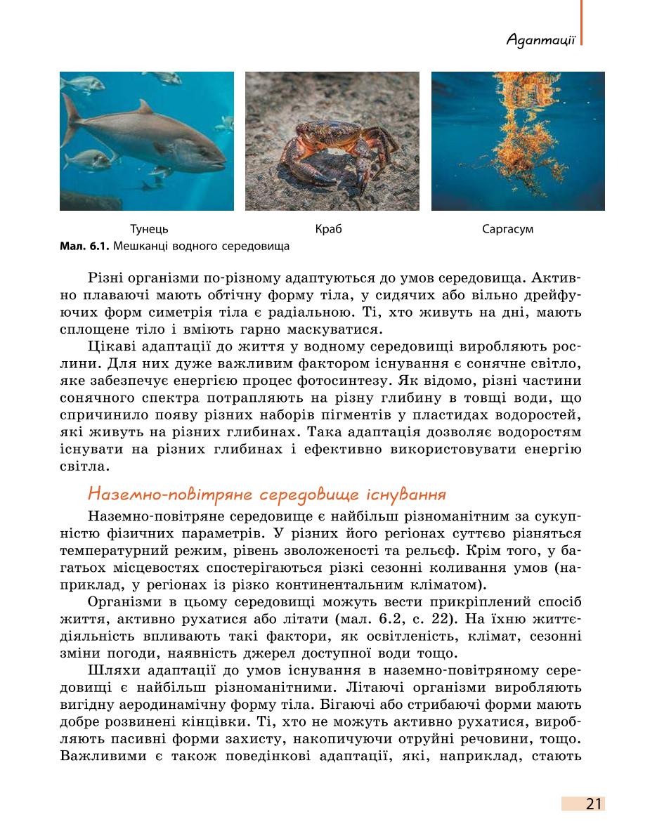 Мініатюра 21