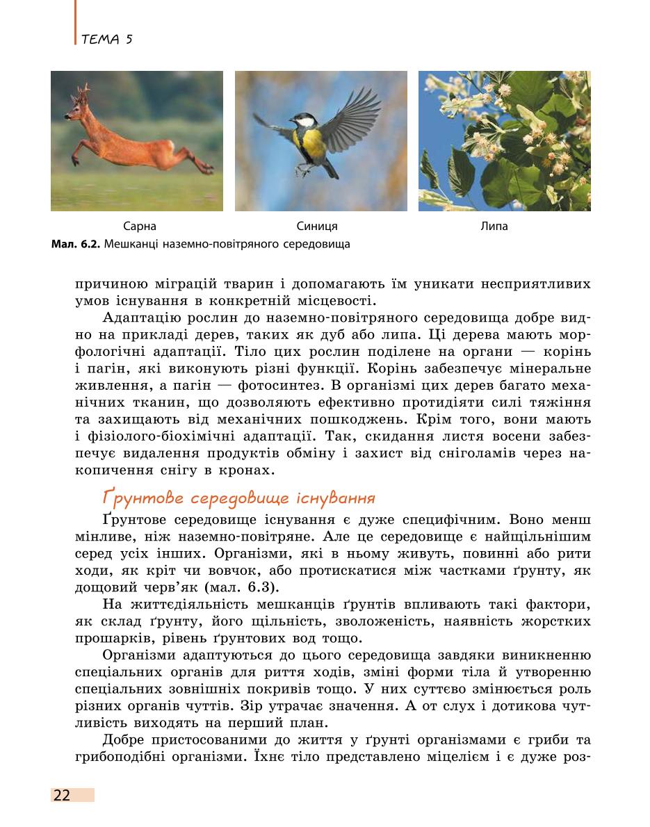 Мініатюра 22