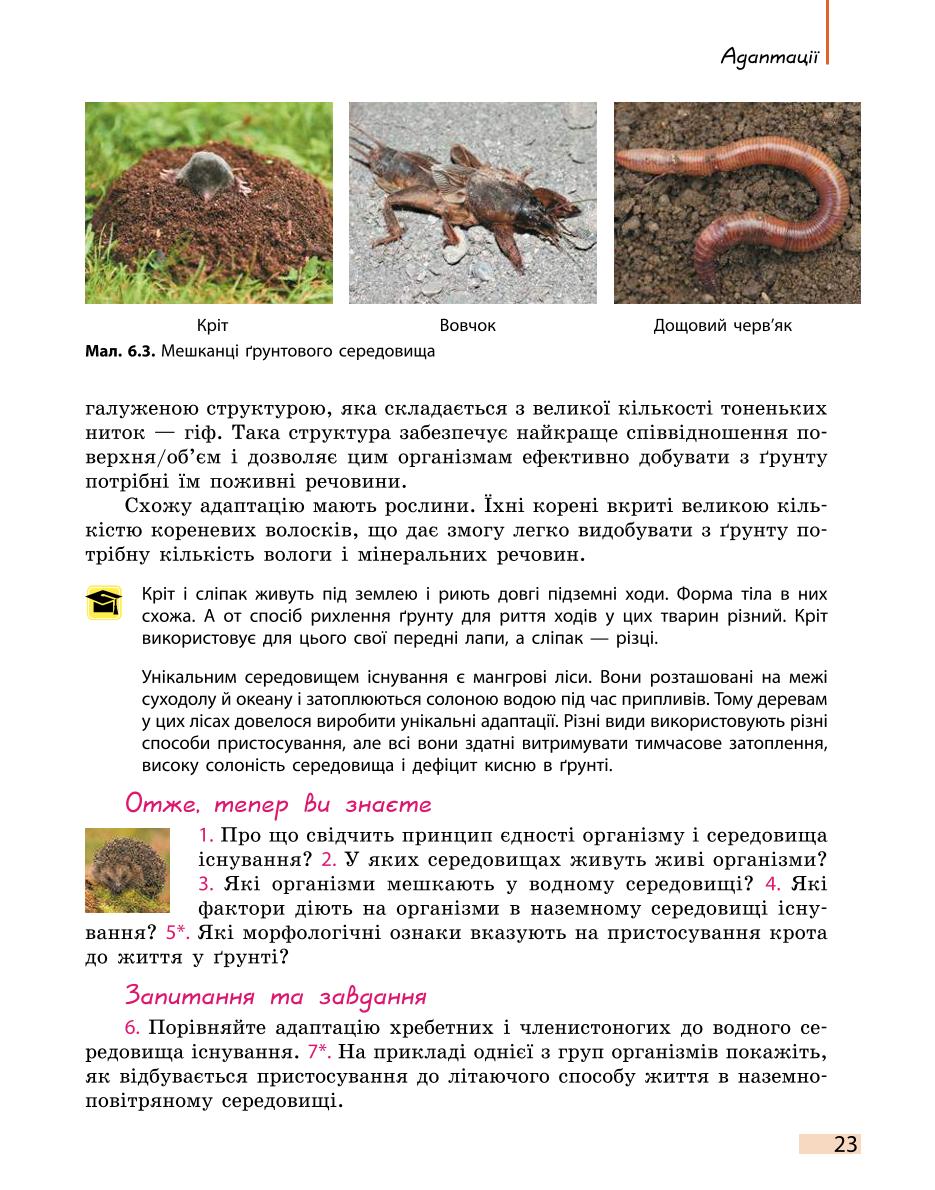 Мініатюра 23