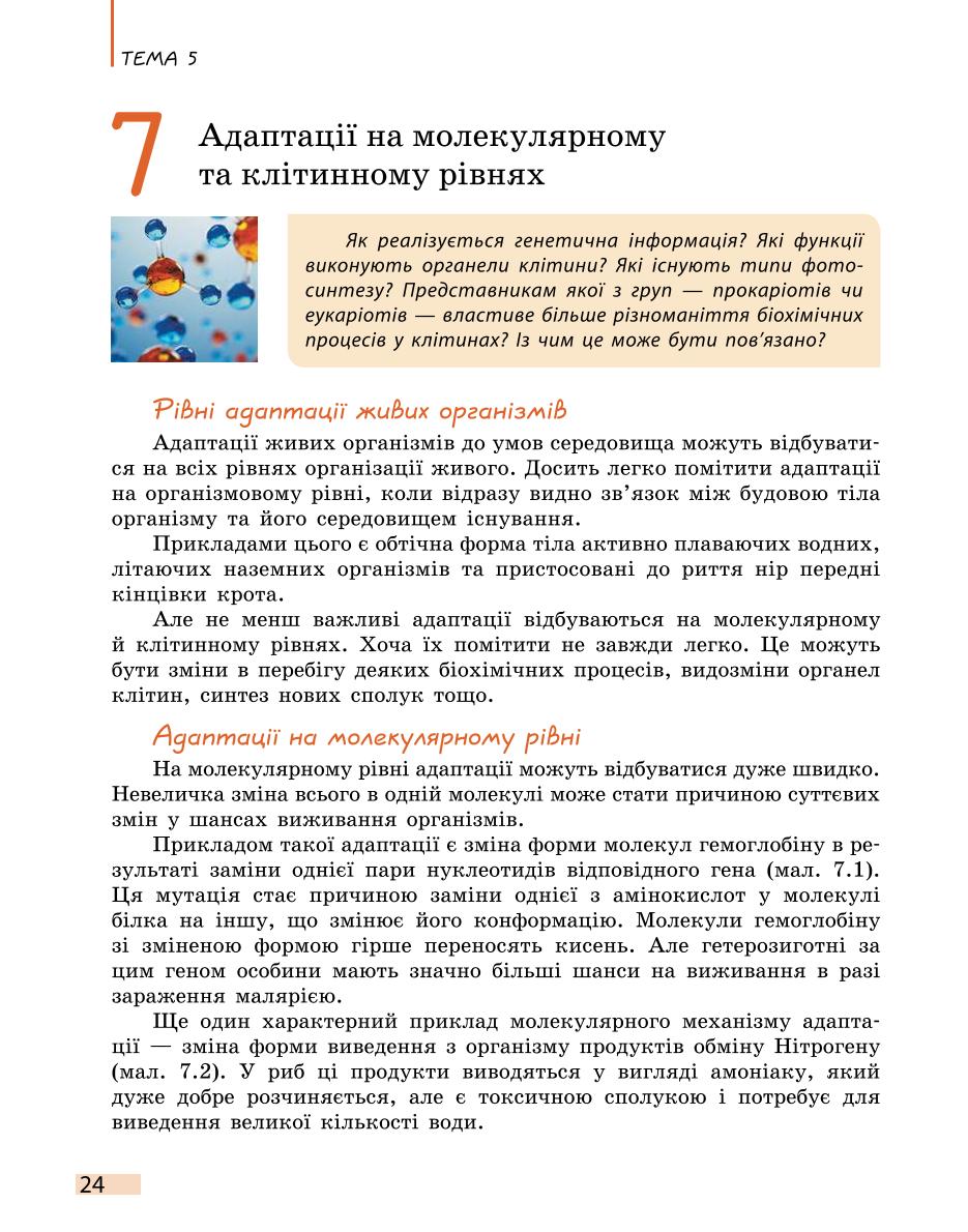 Мініатюра 24
